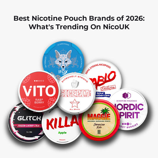 Best Nicotine Pouch Brands of 2026: What’s Trending on NicoUK