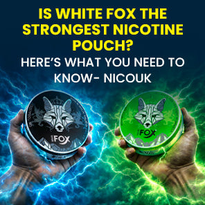 Killa or Pablo: Which Nicotine Pouch Hits Right for You?