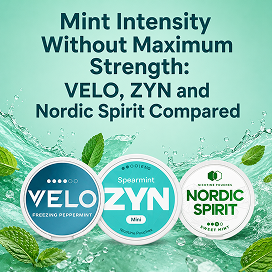 Mint Intensity Without Maximum Strength: VELO, ZYN and Nordic Spirit Compared