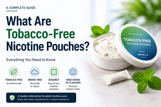 What is tobacco-free nicotine pouches? Complete UK guide showing tobacco-free nicotine pouches with key benefits.