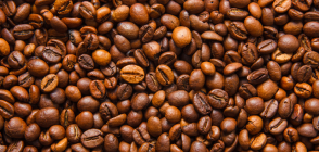Coffee flavour nicotine pouches
