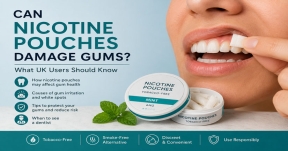 Can nicotine pouches damage gums? Illustration showing a nicotine pouch placed under the upper lip with information about gum irritation and oral health.