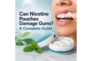 Can nicotine pouches damage gums? Illustration showing a nicotine pouch placed under the upper lip with information about gum irritation and oral health.