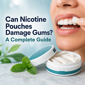 Can nicotine pouches damage gums? Illustration showing a nicotine pouch placed under the upper lip with information about gum irritation and oral health.